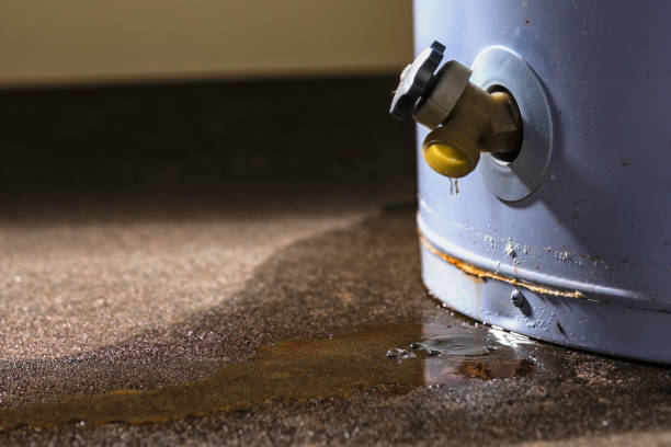 Best Residential water damage restoration  in Freeman, SD