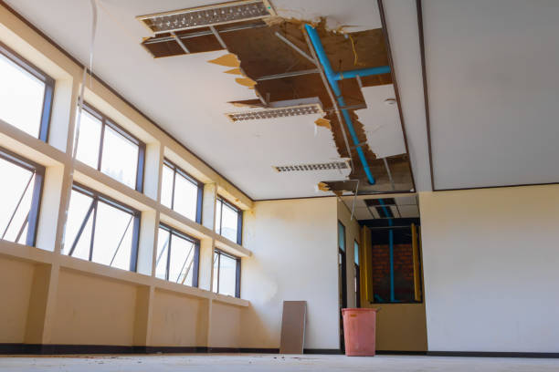 Best 24/7 water damage repair  in Freeman, SD