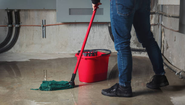 Best Water damage mitigation services  in Freeman, SD