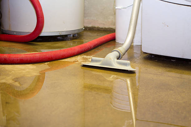 Best Water damage restoration near me  in Freeman, SD