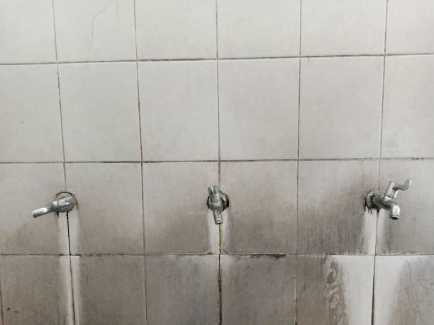 Trusted SD Water damage restoration Experts