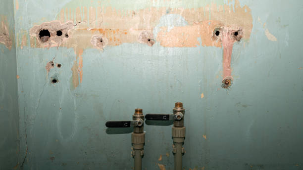 Best 24-hour water damage restoration  in Freeman, SD