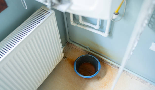Best Water damage contractors near me  in Freeman, SD