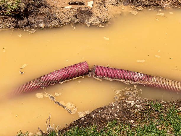 Best Water damage contractors near me  in Freeman, SD