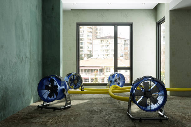 Best Carpet water damage restoration  in Freeman, SD